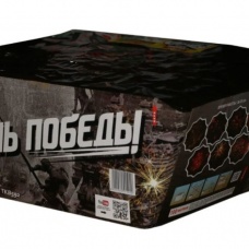 Фейерверк День Победы (1 х 100) в Ставрополе