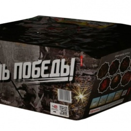 День Победы (1 х 100)